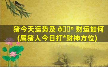猪今天运势及 🐺 财运如何(属猪人今日打*
财神方位)